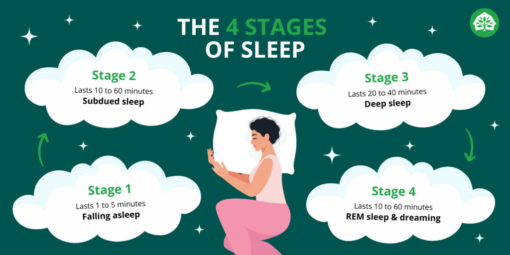 Sleep & Mental Health – The 4 Stages of Sleep – Stages of Sleep