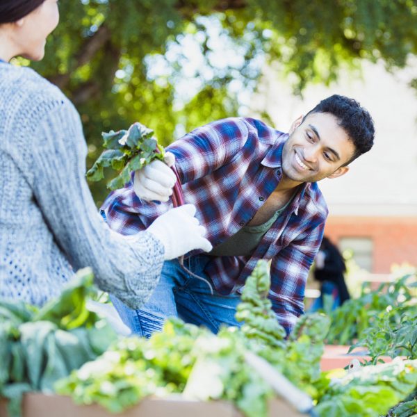 friendly male works happily in sustainable organic garden friendly male working on farm